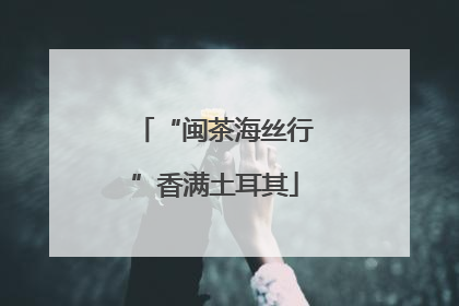 “闽茶海丝行”香满土耳其