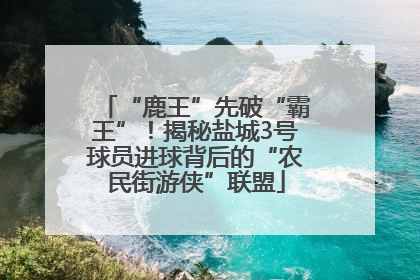 “鹿王”先破“霸王”！揭秘盐城3号球员进球背后的“农民街游侠”联盟