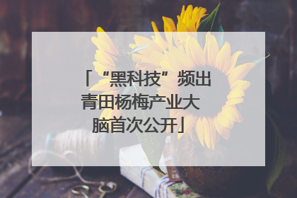 “黑科技”频出 青田杨梅产业大脑首次公开