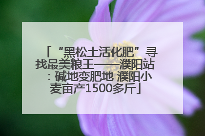 “黑松土活化肥”寻找最美粮王——濮阳站：碱地变肥地 濮阳小麦亩产1500多斤