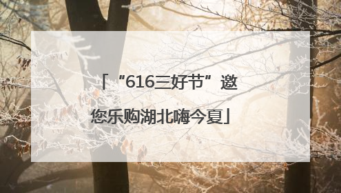 “616三好节”邀您乐购湖北嗨今夏