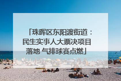 珠晖区东阳渡街道：民生实事人大票决项目落地 气排球赛点燃