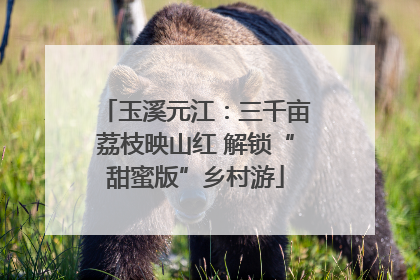 玉溪元江：三千亩荔枝映山红 解锁“甜蜜版”乡村游