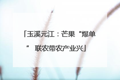 玉溪元江：芒果“爆单” 联农带农产业兴