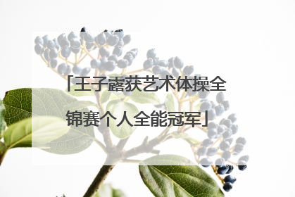 王子露获艺术体操全锦赛个人全能冠军