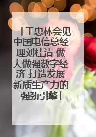 王忠林会见中国电信总经理刘桂清 做大做强数字经济 打造发展新质生产力的强劲引擎