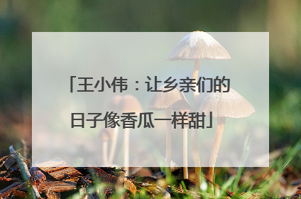 王小伟：让乡亲们的日子像香瓜一样甜