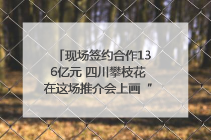 现场签约合作136亿元 四川攀枝花在这场推介会上画“图谱”列“清单”