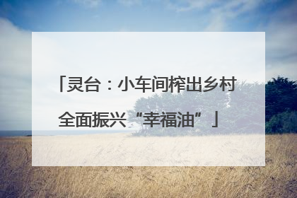 灵台：小车间榨出乡村全面振兴“幸福油”