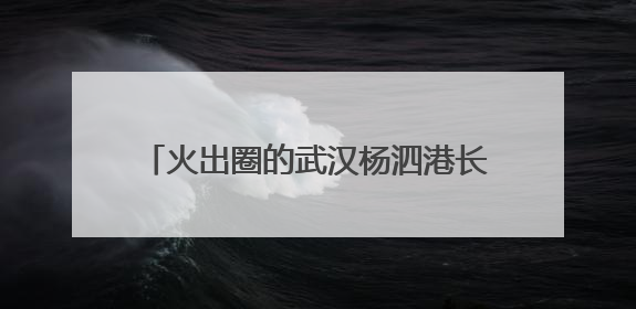 火出圈的武汉杨泗港长江大桥下“圈地收费”？城运集团回应争议