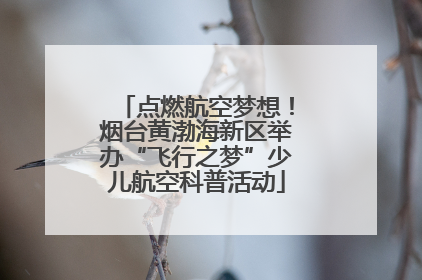 点燃航空梦想！烟台黄渤海新区举办“飞行之梦”少儿航空科普活动