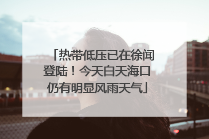 热带低压已在徐闻登陆！今天白天海口仍有明显风雨天气