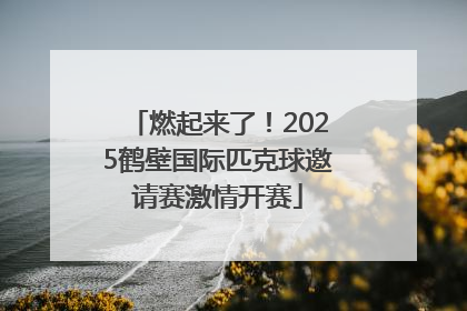 燃起来了！2025鹤壁国际匹克球邀请赛激情开赛