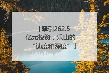 牵引262.5亿元投资，乐山的“速度和深度”