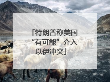 特朗普称美国“有可能”介入以伊冲突