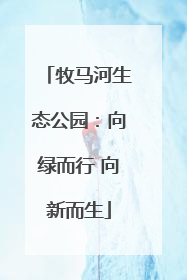 牧马河生态公园：向绿而行 向新而生