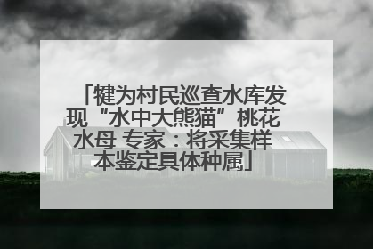 犍为村民巡查水库发现“水中大熊猫”桃花水母 专家：将采集样本鉴定具体种属