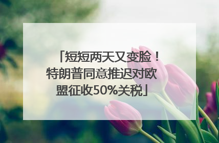 短短两天又变脸！特朗普同意推迟对欧盟征收50%关税