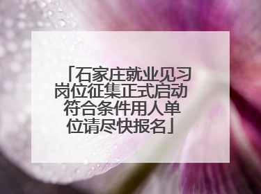 石家庄就业见习岗位征集正式启动 符合条件用人单位请尽快报名