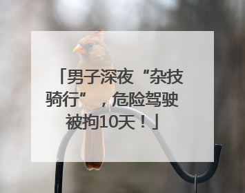 男子深夜“杂技骑行”，危险驾驶被拘10天！