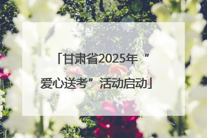甘肃省2025年“爱心送考”活动启动