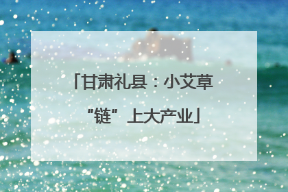 甘肃礼县：小艾草“链”上大产业