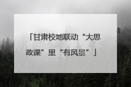 甘肃校地联动“大思政课”里“有风景”