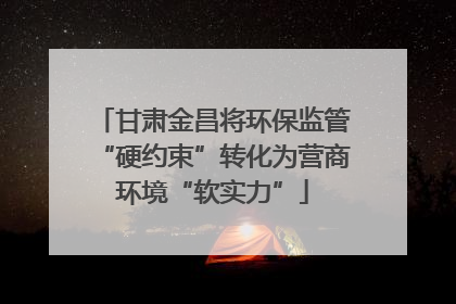 甘肃金昌将环保监管“硬约束”转化为营商环境“软实力”