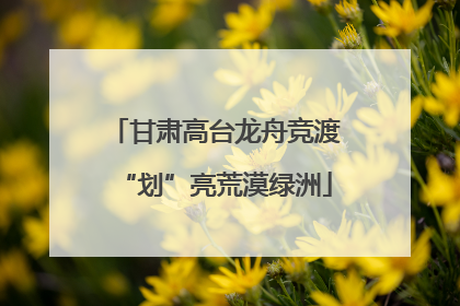 甘肃高台龙舟竞渡“划”亮荒漠绿洲