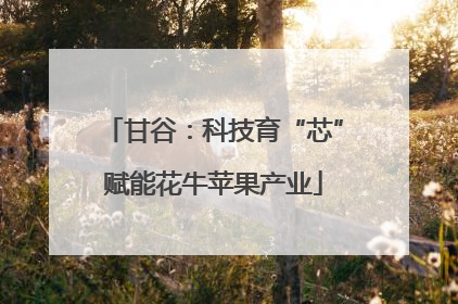 甘谷：科技育“芯”赋能花牛苹果产业