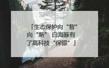 生态保护向“智”向“新” 白海豚有了高科技“保镖”