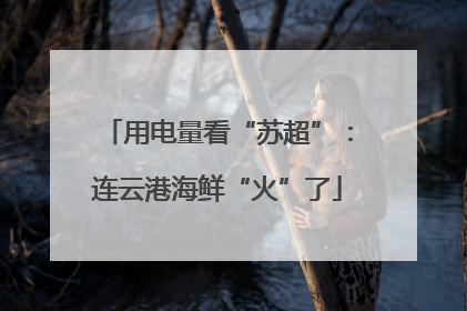 用电量看“苏超”：连云港海鲜“火”了