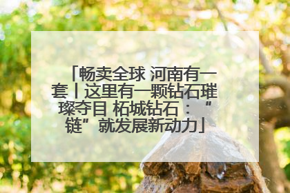 畅卖全球 河南有一套丨这里有一颗钻石璀璨夺目 柘城钻石：“链”就发展新动力