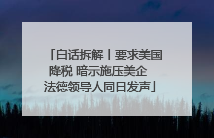 白话拆解丨要求美国降税 暗示施压美企 法德领导人同日发声