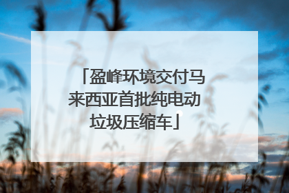 盈峰环境交付马来西亚首批纯电动垃圾压缩车