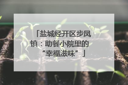 盐城经开区步凤镇：助餐小院里的“幸福滋味”