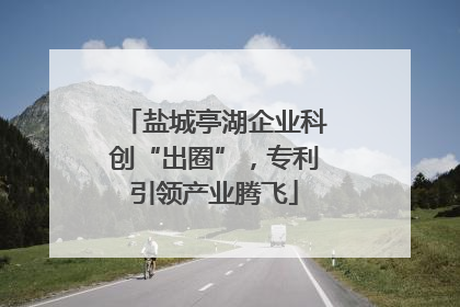 盐城亭湖企业科创“出圈”，专利引领产业腾飞