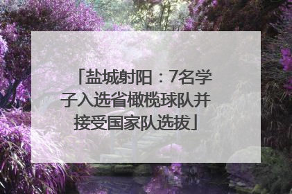 盐城射阳：7名学子入选省橄榄球队并接受国家队选拔