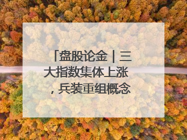 盘股论金｜三大指数集体上涨，兵装重组概念遥遥领先