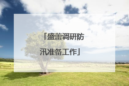 盛蕾调研防汛准备工作