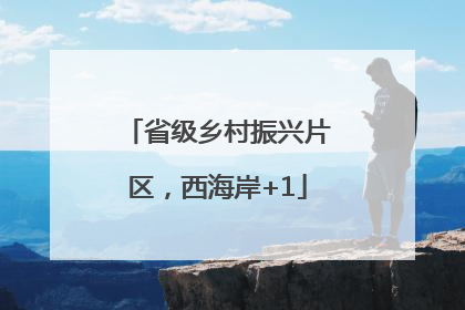 省级乡村振兴片区，西海岸+1