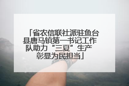 省农信联社派驻鱼台县唐马镇第一书记工作队助力“三夏”生产 彰显为民担当