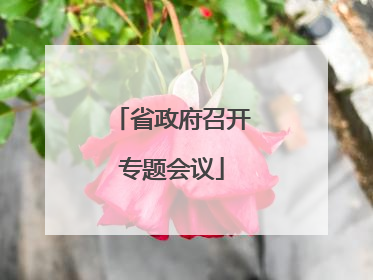省政府召开专题会议