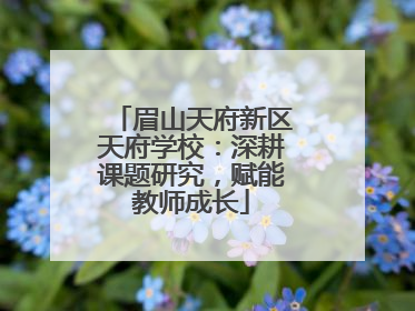 眉山天府新区天府学校：深耕课题研究，赋能教师成长