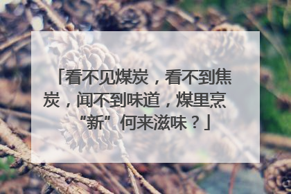 看不见煤炭，看不到焦炭，闻不到味道，煤里烹“新”何来滋味？