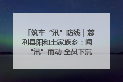 筑牢“汛”防线｜慈利县阳和土家族乡：闻“汛”而动 全员下沉筑牢防汛“安全堤”