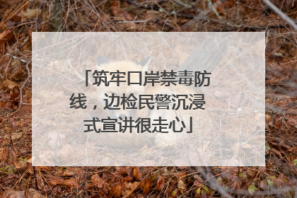 筑牢口岸禁毒防线，边检民警沉浸式宣讲很走心