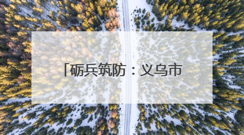 砺兵筑防：义乌市开展全链条防汛防台综合应急演练