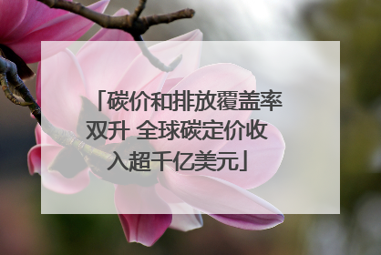 碳价和排放覆盖率双升 全球碳定价收入超千亿美元