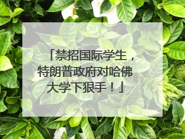 禁招国际学生，特朗普政府对哈佛大学下狠手！